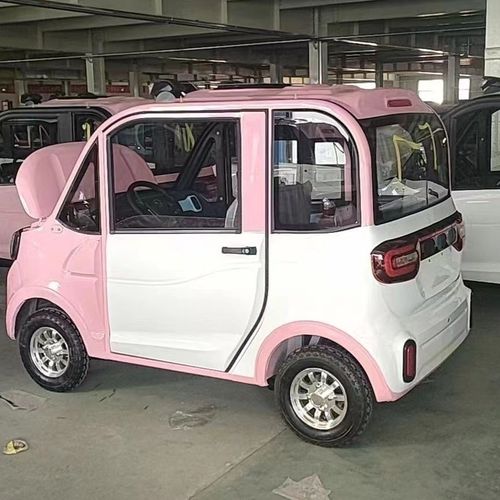 新款两门四轮悬挂减震碟刹电动车家用老年代步接送孩子可油电两用