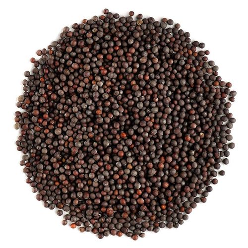 黑芥末籽 black mustard seed brown whole 100g 泡菜芥末酱调料