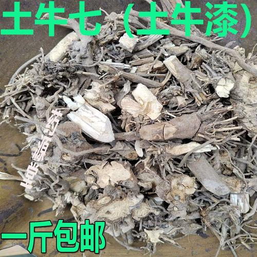 广东无硫干货土牛膝根广西六月雪根大泽兰多须公土牛七药材一包邮