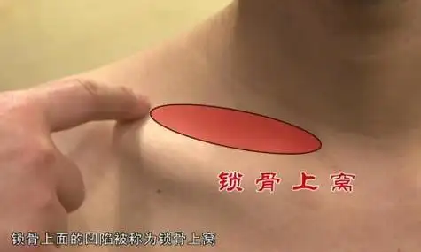 穴位的故事044缺盆:肩膀痛