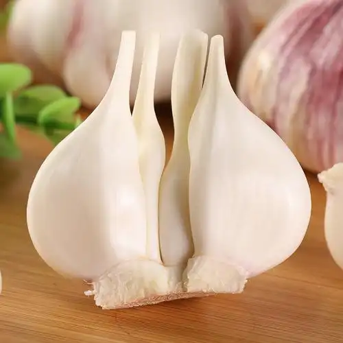 新鲜大蒜头2019湿蒜鲜蒜5斤包邮现挖现发杞县大蒜农家蔬菜 腌糖蒜