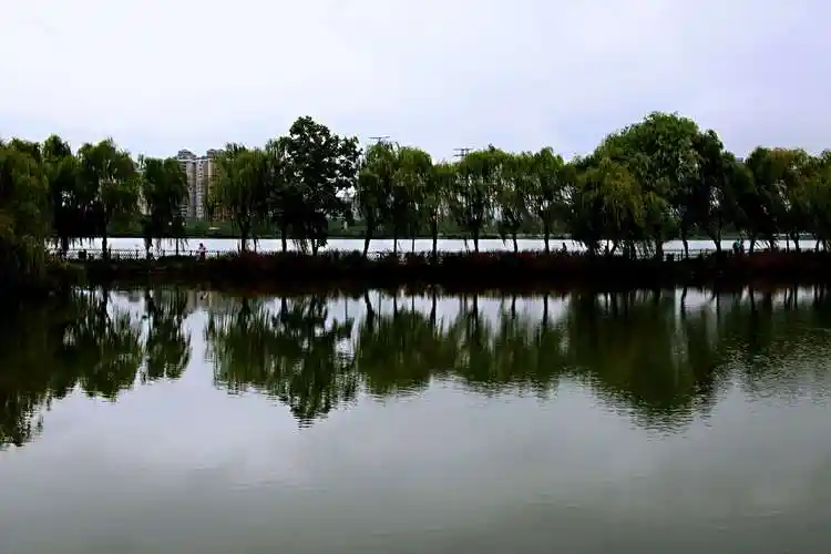 闹市中的清闲去处--武汉金银湖湿地公园