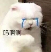看完这组流泪猫表情包感觉生活太难了啊