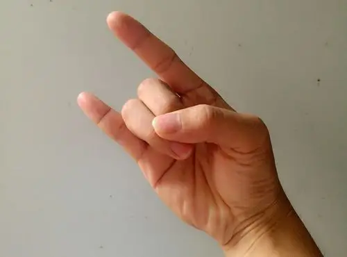 beyond摇滚rock的手势是什么意思