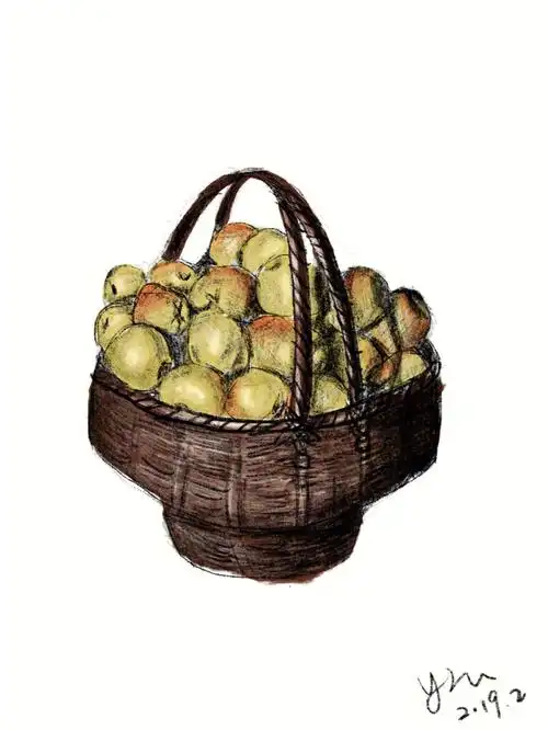 练习画一筐苹果