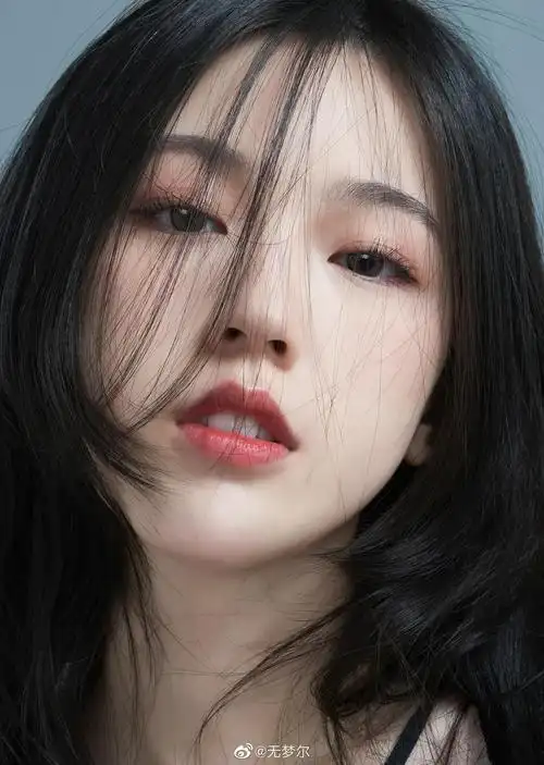 猫 摄影@无梦尔 出境