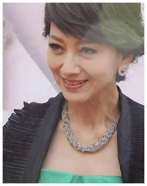 看看这张超近距离生照片吧. 赵雅芝脸上的皱纹真的是真的.