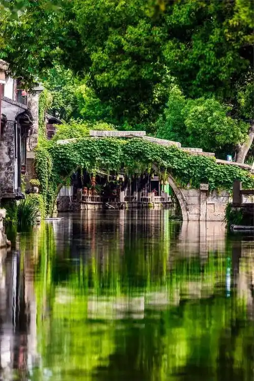 江苏周庄古镇四面环水作为国家5a级旅游景区来过的人都说值