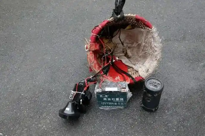 禁猎期诱捕野鸡广安一男子被刑拘