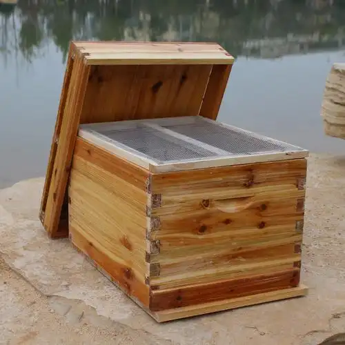 42蜂箱小型中蜂蜜蜂箱标准杉木密蜂箱煮蜡土蜂箱成品巢框养蜂全套