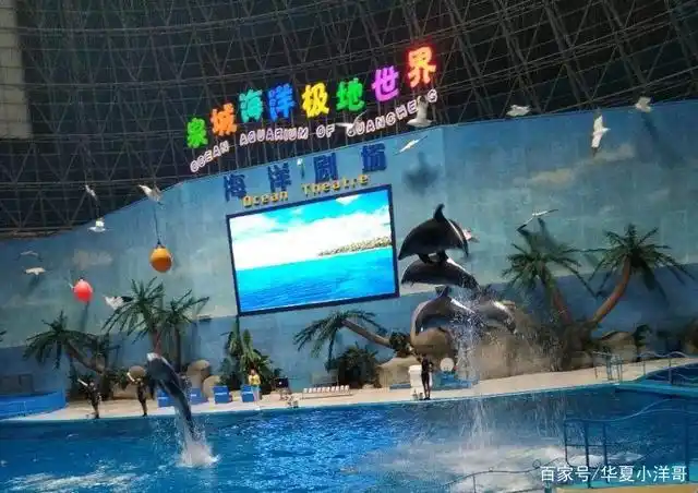 齐河泉城海洋极地世界