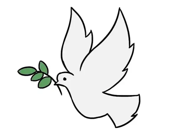 白鸽简笔画三步完成白鸽的画法三步