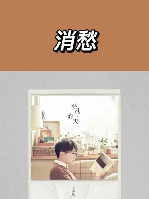 今日分享消愁毛不易