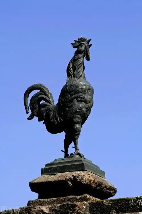 生活中,我们时常用"铁公鸡"来形容一个人特别抠.