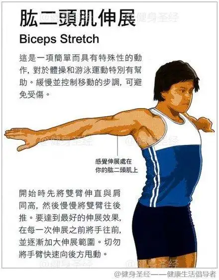 【肱二头肌伸展】这是一项简单而具有特殊性的动作,对于体操和游泳