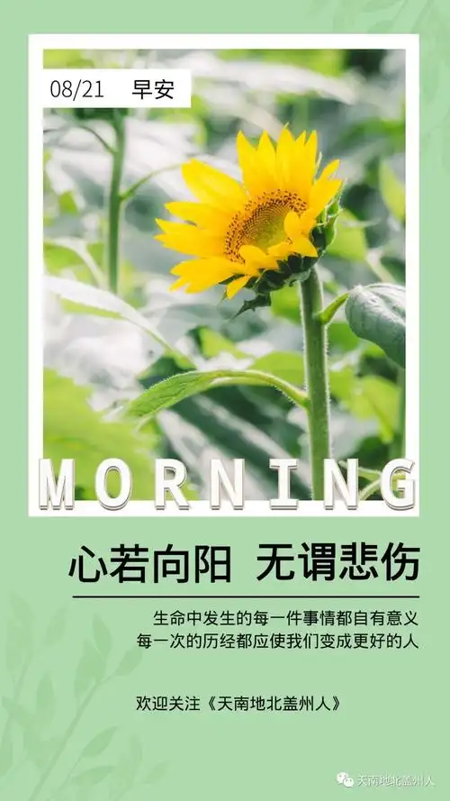 早安寄语丨心若向阳,无谓悲伤__凤凰网