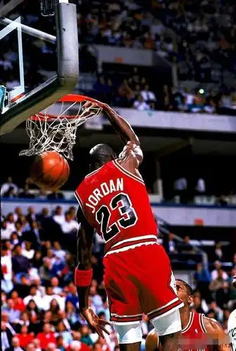 迈克尔乔丹,世界篮坛历史上最佳运动员