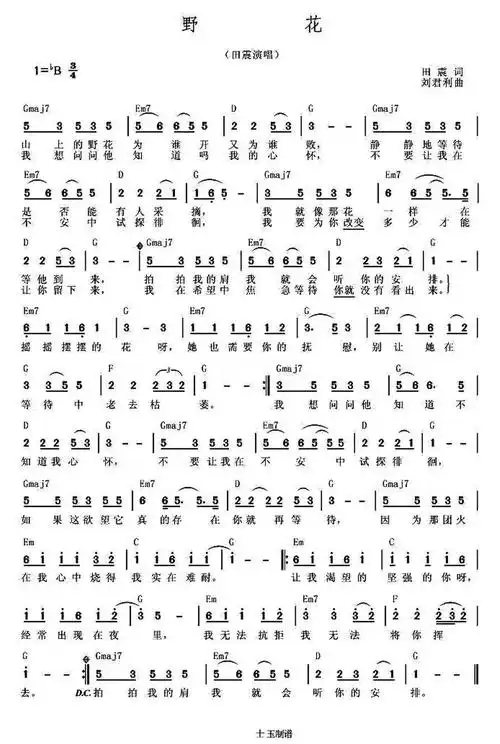 野花简谱