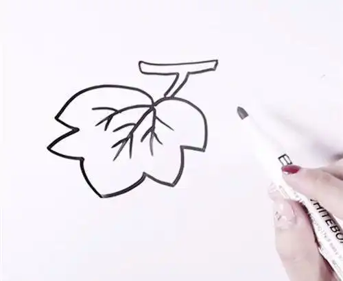 卡通葡萄叶子简笔画