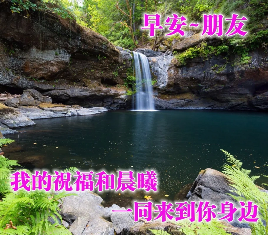 阳光明媚的早安祝福语,选一句送给关心你的朋友吧!