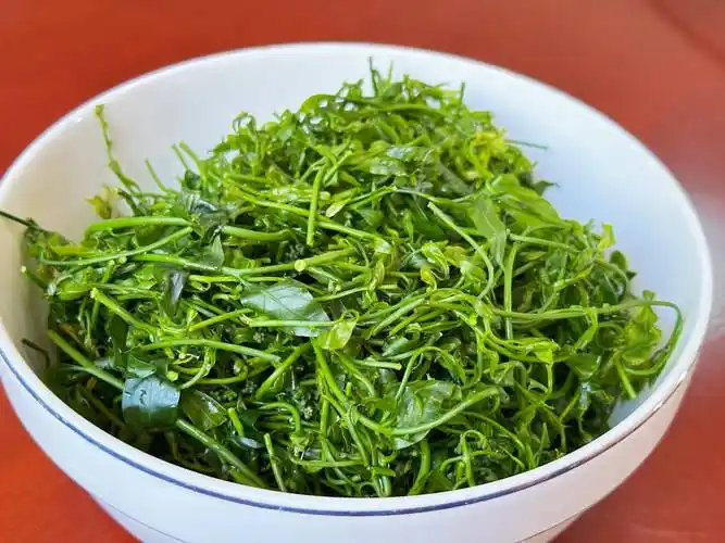 品春天鲜甜—双柏安龙堡甜菜汤_味道_叶进行_野菜