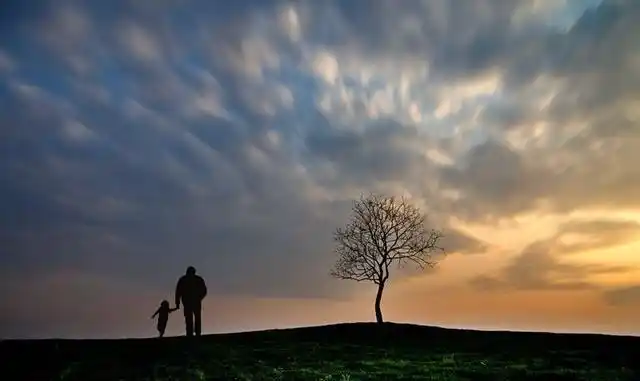 那是我小时候,常坐在父亲肩头,父亲是儿那登天的梯,父亲是那拉车的牛