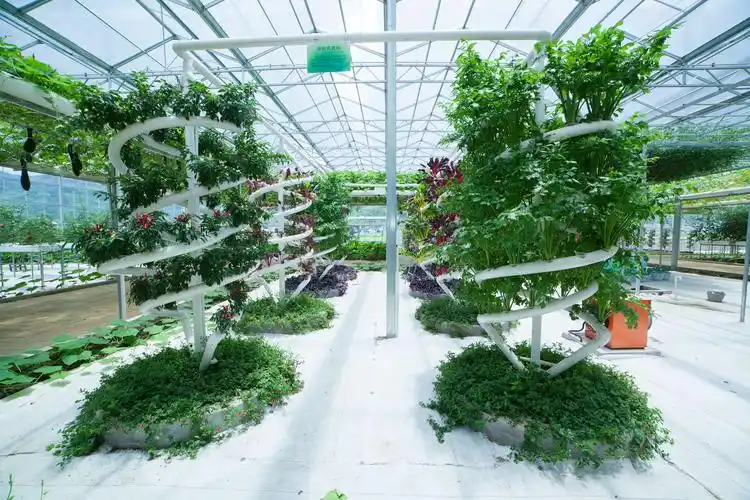 张家界农业观光园