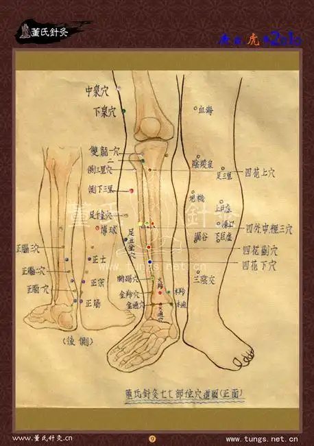 458_650竖版 竖屏