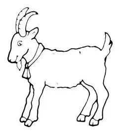 羊的简笔画法 羊的简笔画法简单