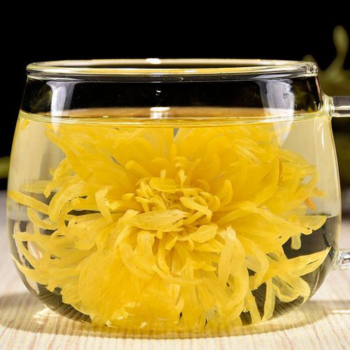 新花金丝皇菊一朵一杯大菊花茶黄菊花茶30包