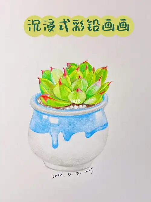 彩铅画多肉植物