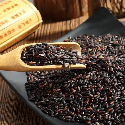 血糯米10斤新米东北农家新米五谷杂粮熬粥黑米粥酿酒黑糯米5斤