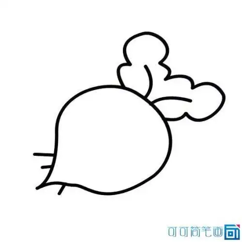 萝卜和白菜的简笔画儿童简笔画红萝卜萝卜的简笔画如何画呢红萝卜简笔
