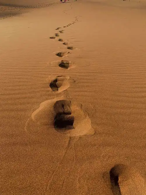 独自一人留下一串串的脚印