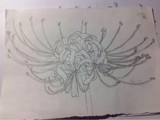 彼岸花简笔画手绘