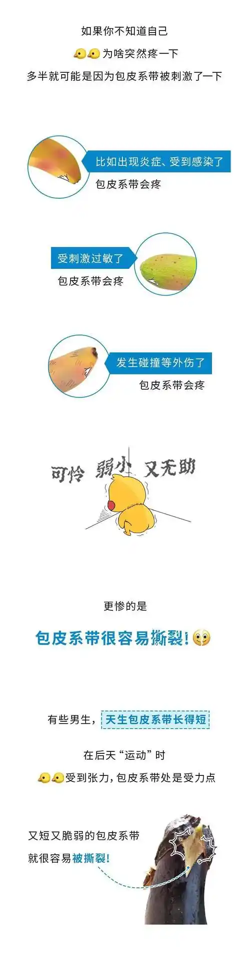 男人无法忍受的痛——包皮系带撕裂_科普_白丝_来源