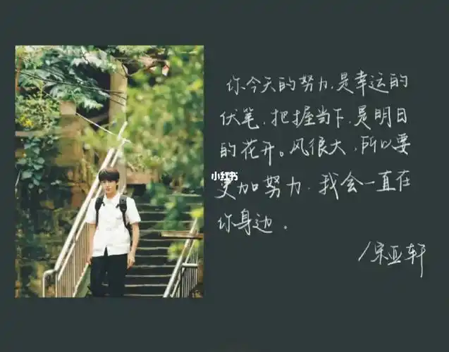 手写摘抄  #每日摘抄  #宋亚轩一直会是宋亚轩  #宋亚轩语录  #板写