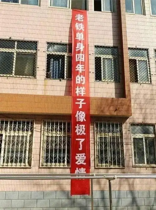 毕业了,那些搞笑又扎心的横幅出现了.