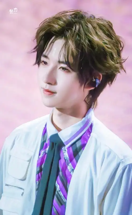 贺峻霖新歌##贺峻霖 二十弈梦鸿鹄万里