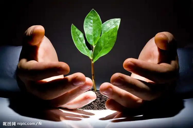 呵护中的树苗图片