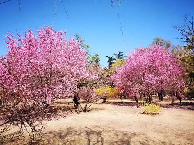 走进"人间仙境" - 美篇