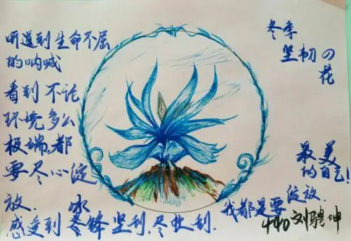 心灵探索之旅《我的生命之花》绘画心理体验课张慧娟(国家二级心理