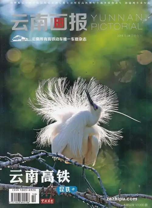 云南画报人文旅游2019年4月期封面图片-杂志铺zazhipu.