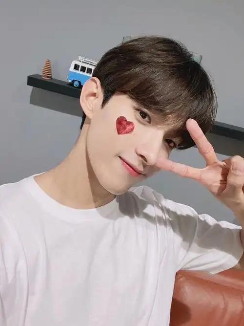 seventeen他是李硕珉