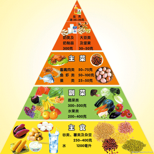 这20种要按照合理的膳食金字塔——谷物,蔬菜,水果, 肉, 蛋, 奶,按