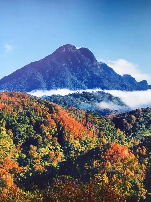 五指山自驾游论坛