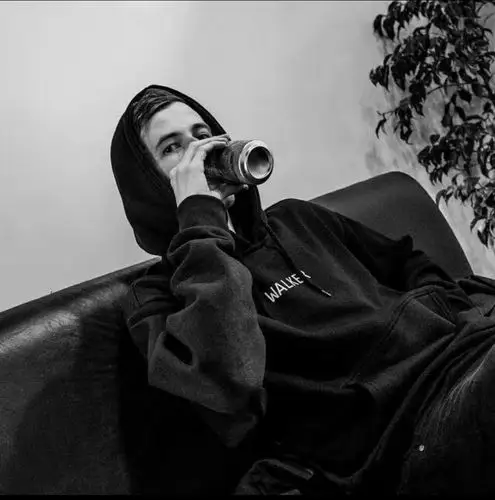 宝藏男孩alanwalker,超有才华alanwalker