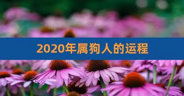 2023年属狗人的运程,70年属狗53岁有一灾
