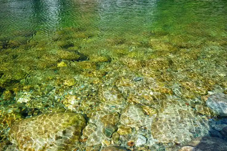 黑河的水清澈见底,水面上波光粼粼,让人心旷神怡.