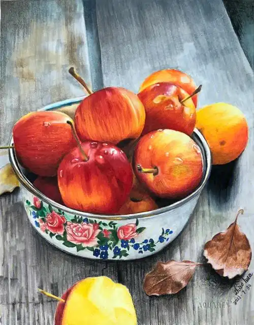 彩铅写实静物61海棠果